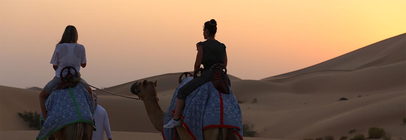 Camel Trekking in Abu Dhabi
